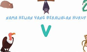 Sebutkan Nama Hewan Yang Berawalan Dari Huruf I